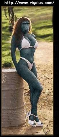 golo bou sole goget