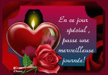 je tm ma belle